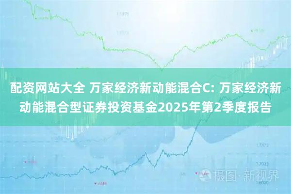 配资网站大全 万家经济新动能混合C: 万家经济新动能混合型证券投资基金2025年第2季度报告